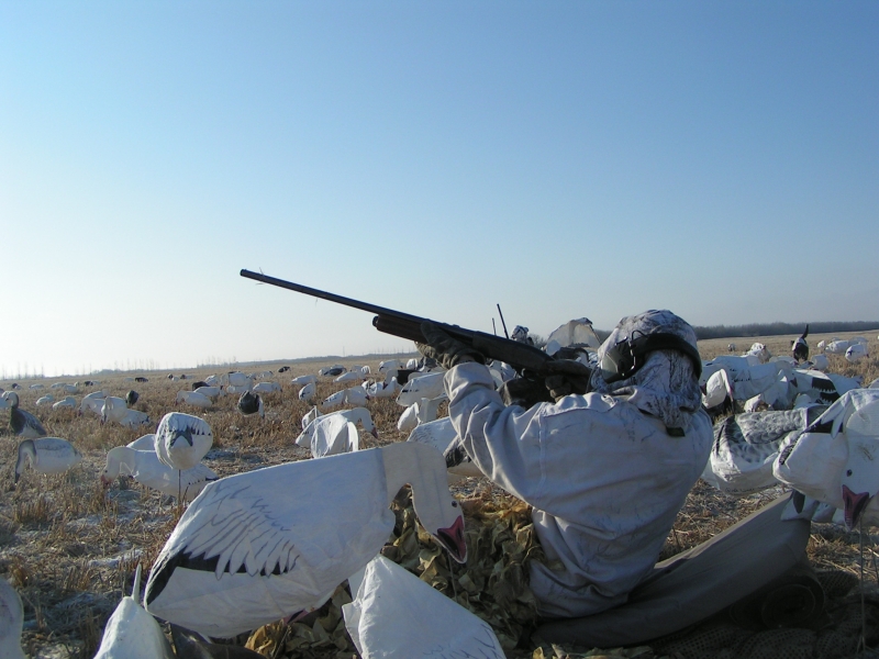 Spring Snow Goose Hunting
